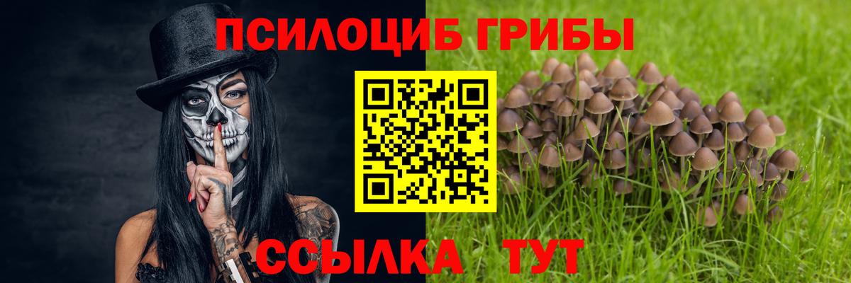 Галлюциногенные грибы GOLDEN TEACHER Богданович