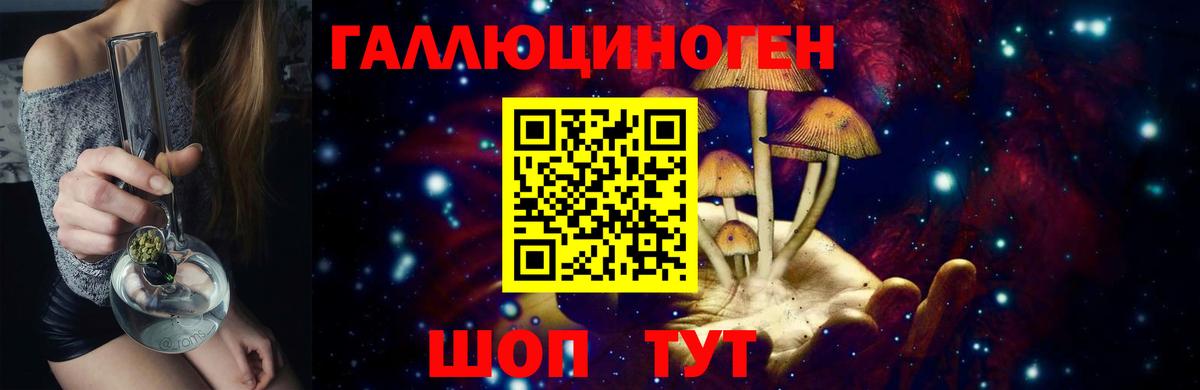 Богданович  Галлюциногенные грибы прущие грибы  Псилоцибиновые грибы прущие грибы  Вход с VPN 